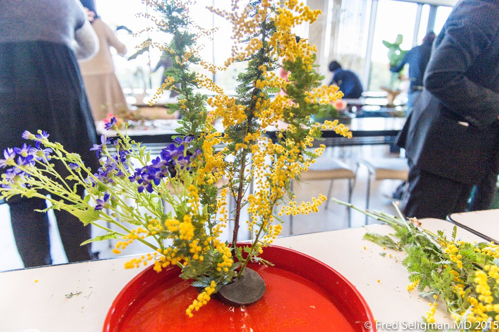 20150310_104758 D4S.jpg - Scenes from a Ikebana (the art of flower arrangement) class, Tokyo.